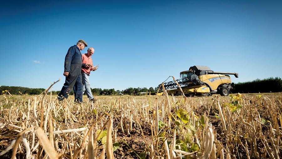 Professor Eric Holub harvesting a large-scale field trial at Wellesbourne