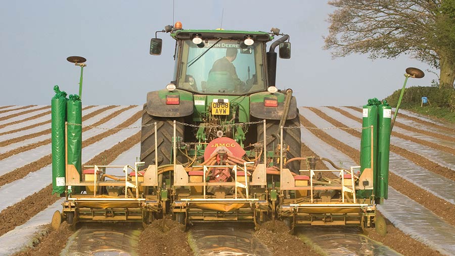 Maize is drilled and the plastic film laid in a single operation © Tim Scrivener