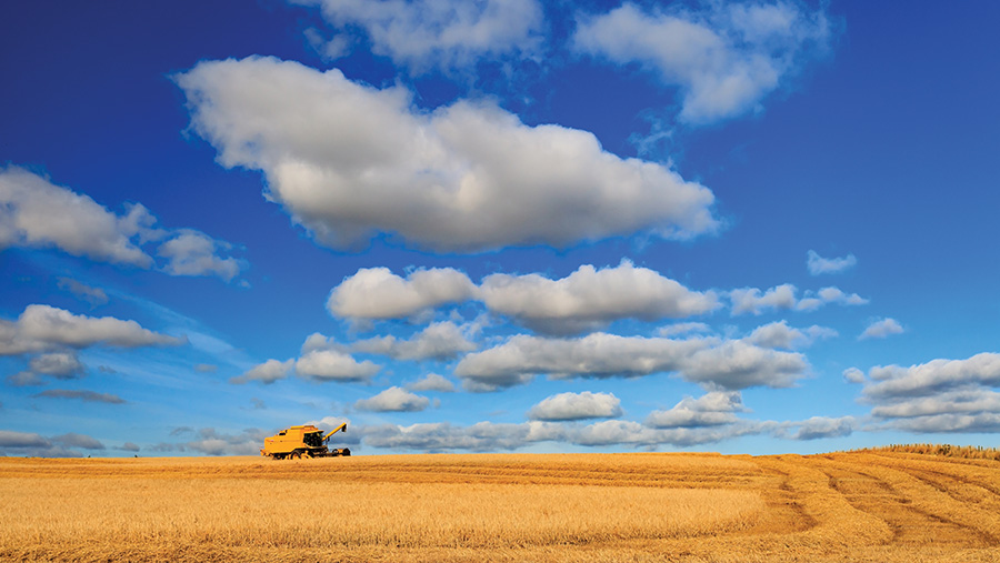 The scenery may look beautiful, but farming can be a tough and, at times, lonely career © Adobe Stock/Bomboman