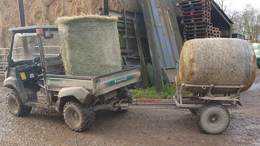 Bale carrier