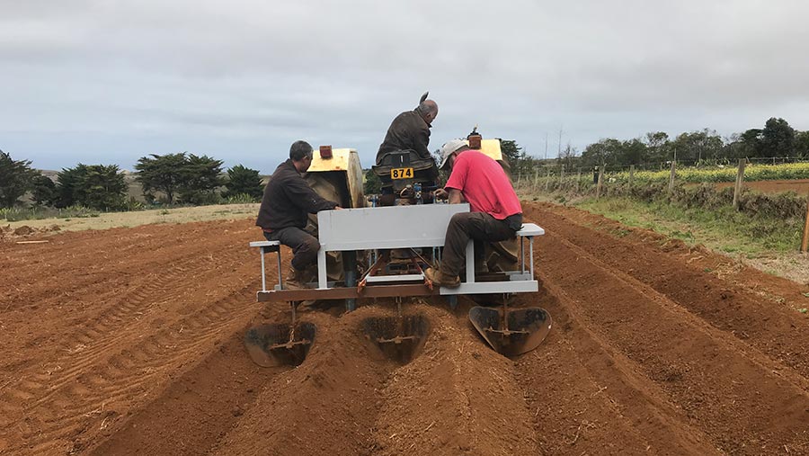 Potato planter