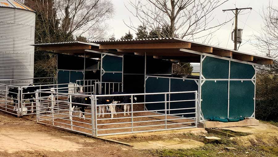 Calf accommodation 