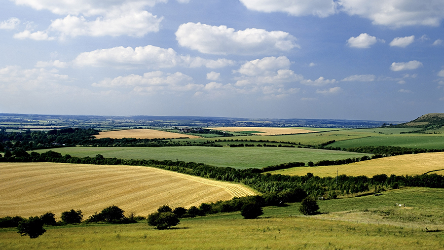 7 steps to help agri-businesses transition to net zero - Farmers Weekly