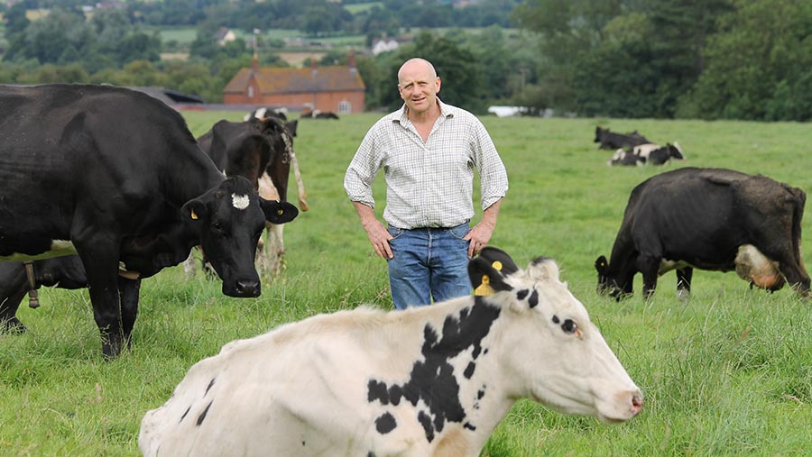 Dairy farmer David Brookes with cows