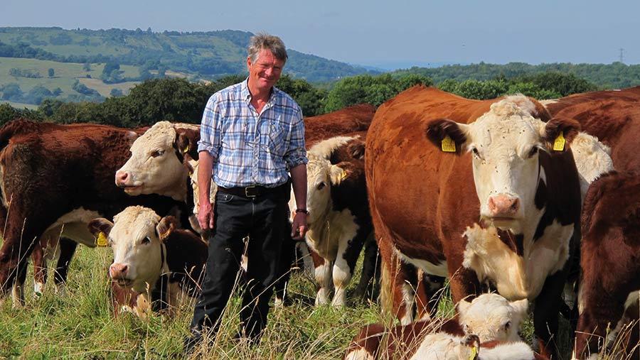 Ian Boyd in field with cows