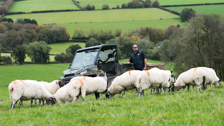 Adrian Coombe in field with sheep