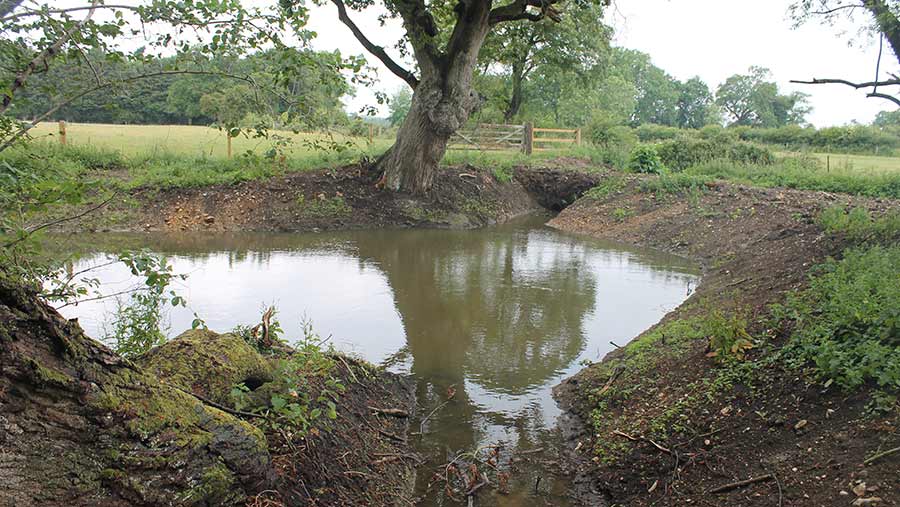 Re-dug ghost pond