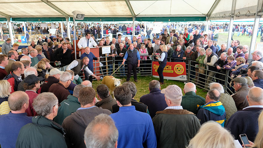 Farmers have been deprived of many opportunities to see stock sold in person in the last year © Tim Scrivener