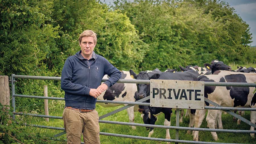 George Wade with dairy herd