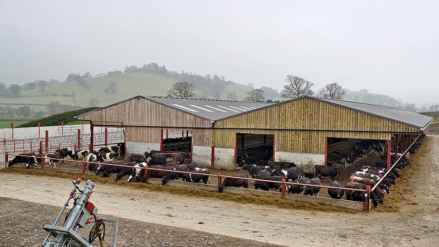 The Tudor's dairy sheds