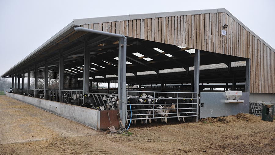 The new calf-rearing shed measures 40x14m  © MAG/David Jones