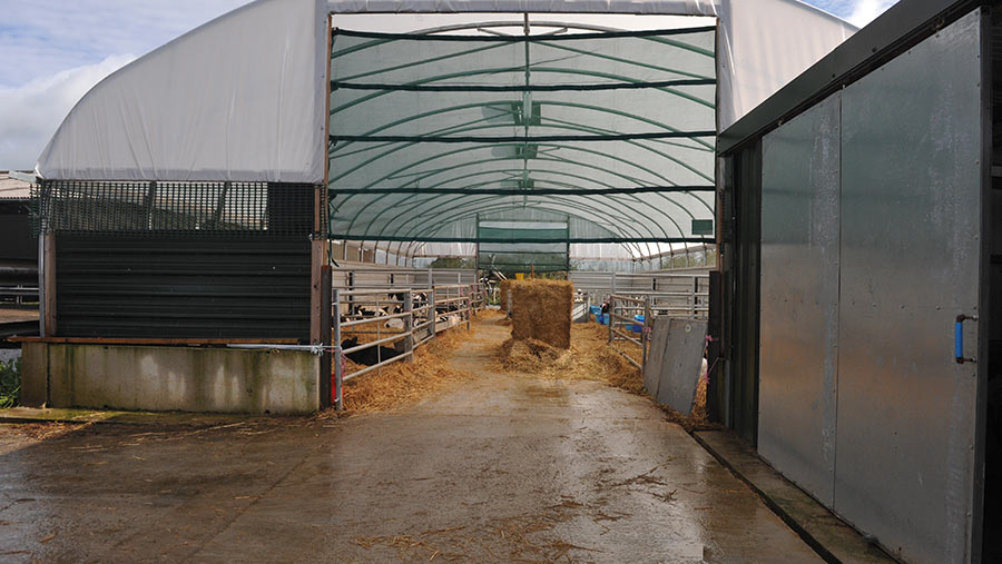 Entrance to the group pens