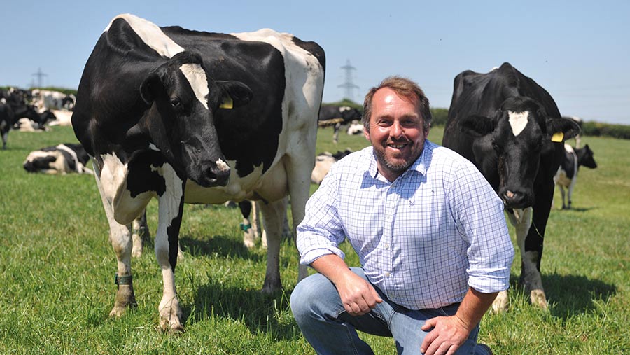 Roger Lewis in field with dairy cows