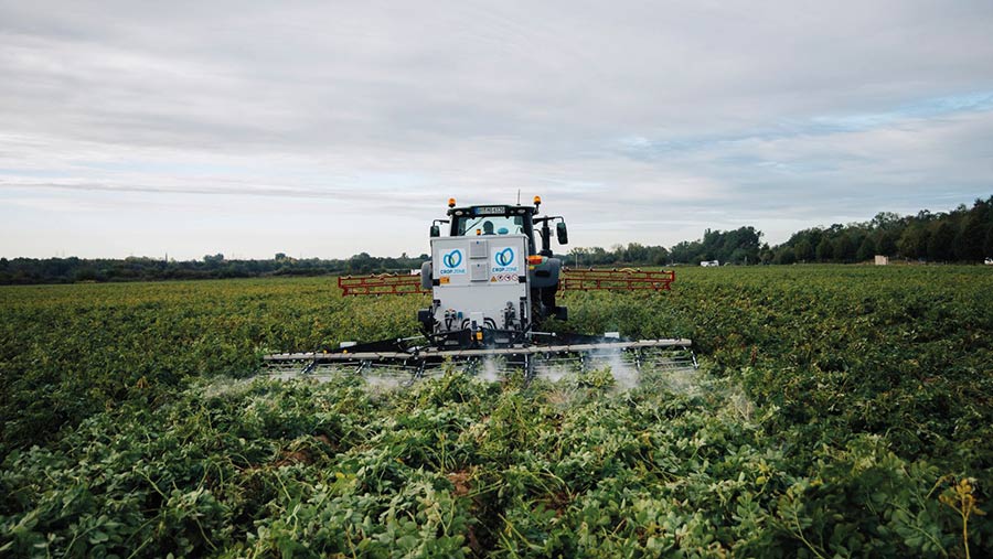 Spraying crop to combat haulm 