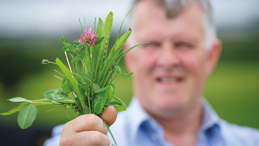 Sam Chesney holding herbal ley