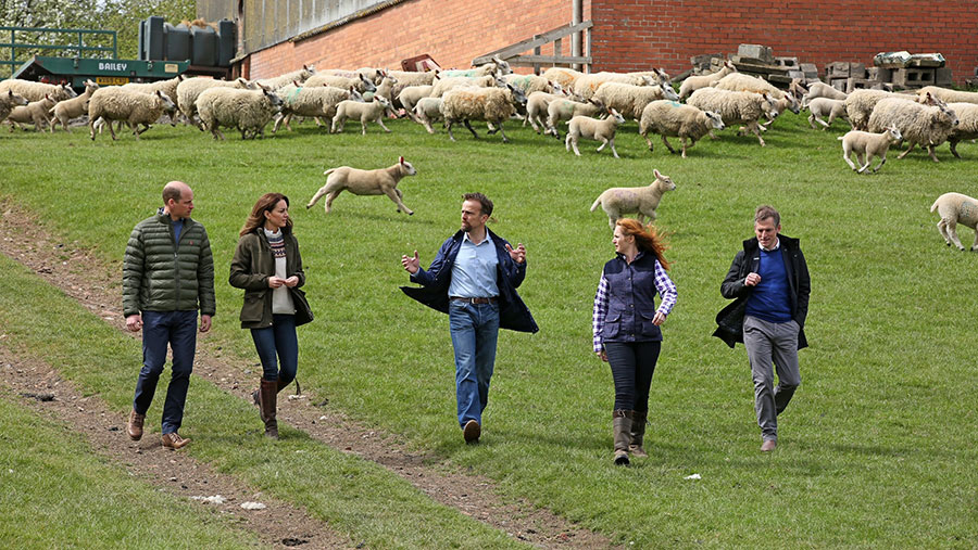 Duke and Duchess of Cambridge walk on farm with farmers