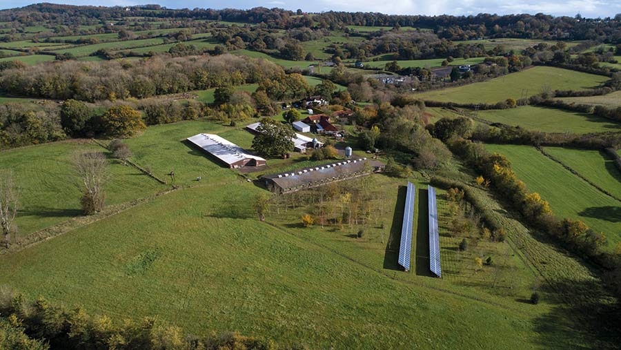 Old Brickyard Farm, near Shaftesbury in Dorset