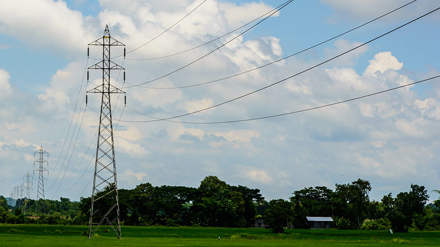 © Supanee2550/Adobe Stock