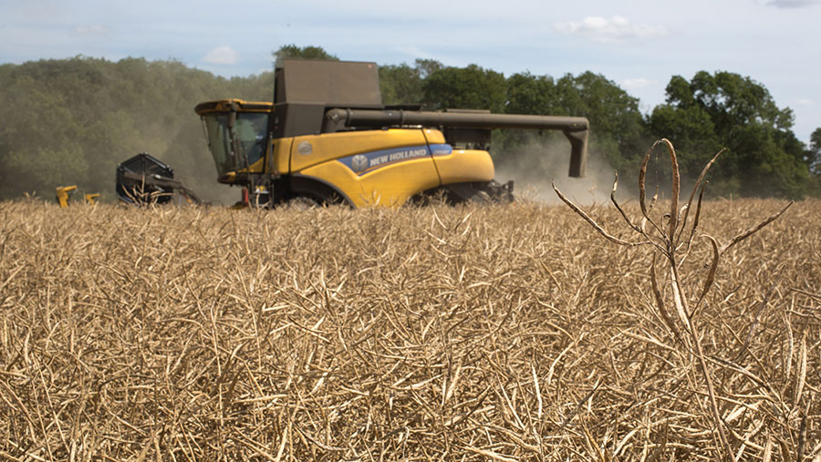 Harvesting OSR