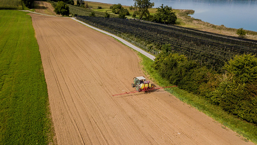 © Mario/Adobe Stock