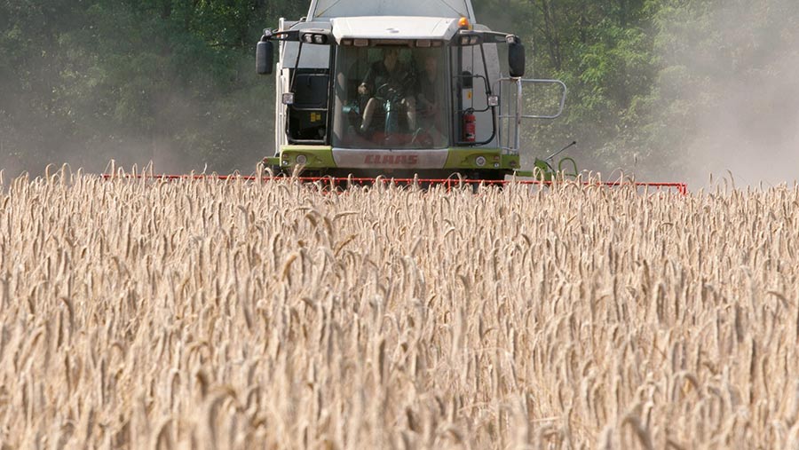 Combining hybrid rye