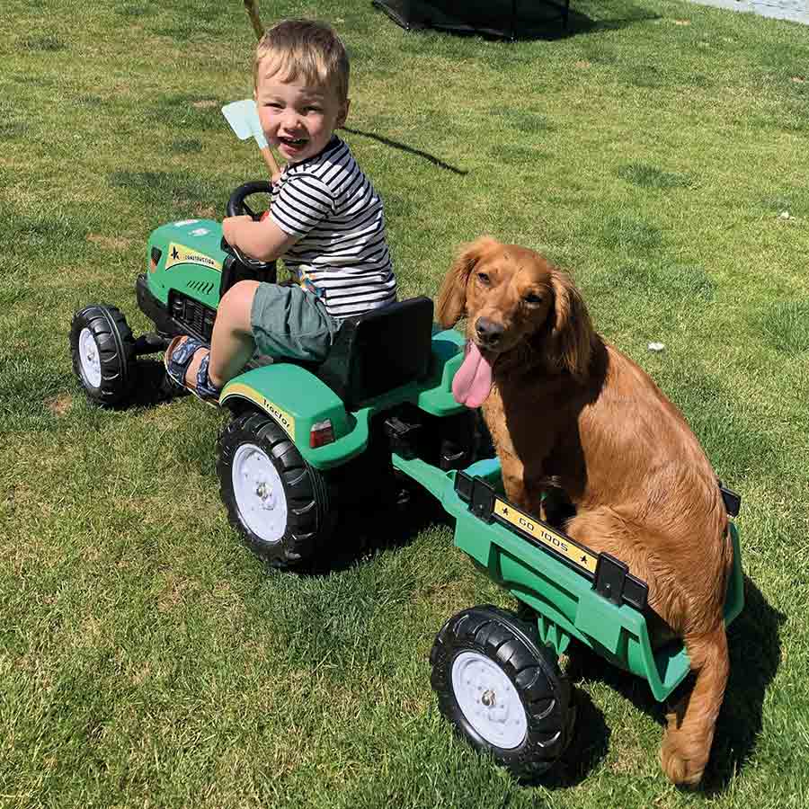 Boy and dog on toy tractor