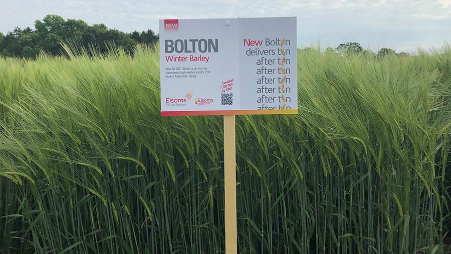 Bolton winter barley 