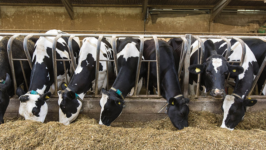 Rising feed costs could restrict milk output - Farmers Weekly