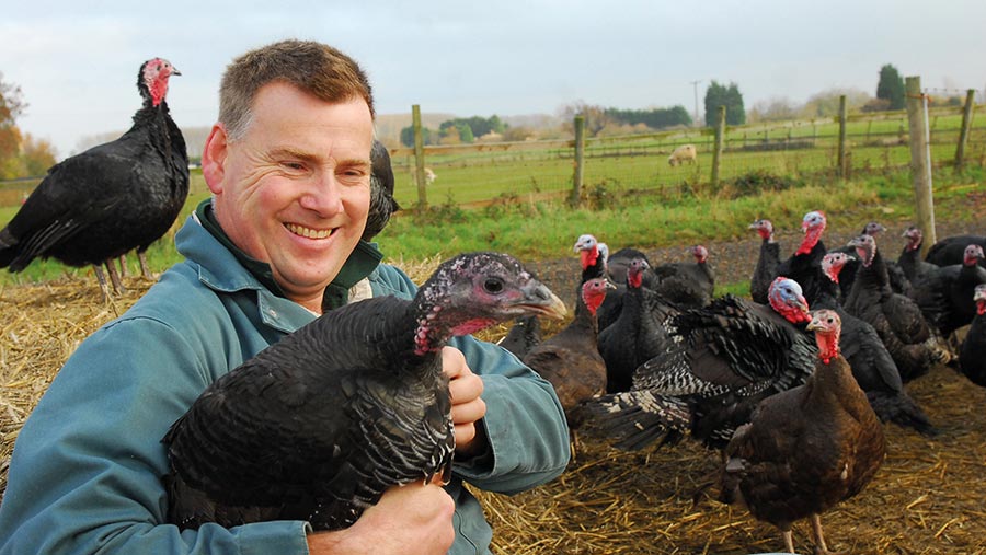 John Franklin with turkeys