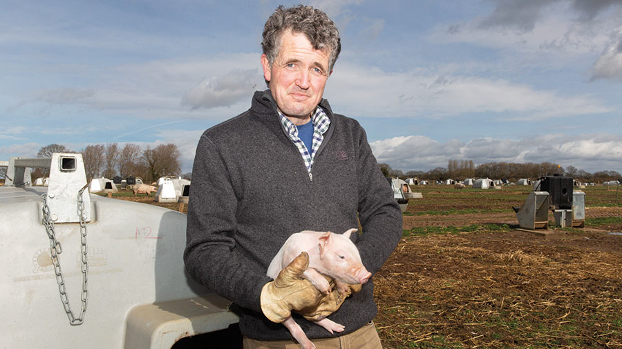 Rob McGregor with one of his piglets
