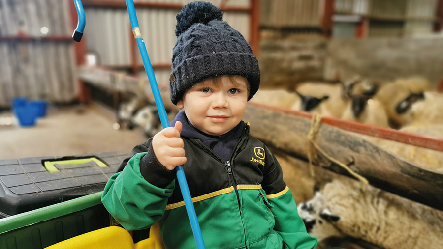 Boy with sheep
