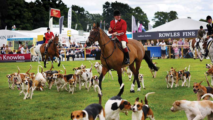 Horse, rider and hounds at Game Fair