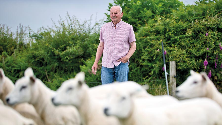 Alwyn Phillips with sheep