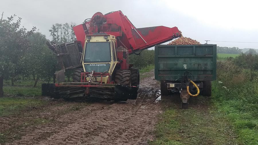 Apple harvester