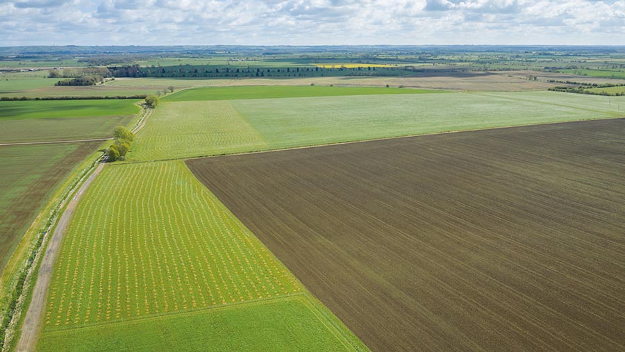 Aerial view of farmland