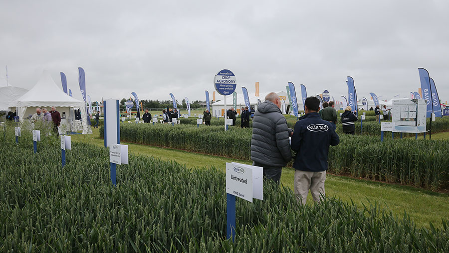 Cereals 2021 © Tim Scriveners