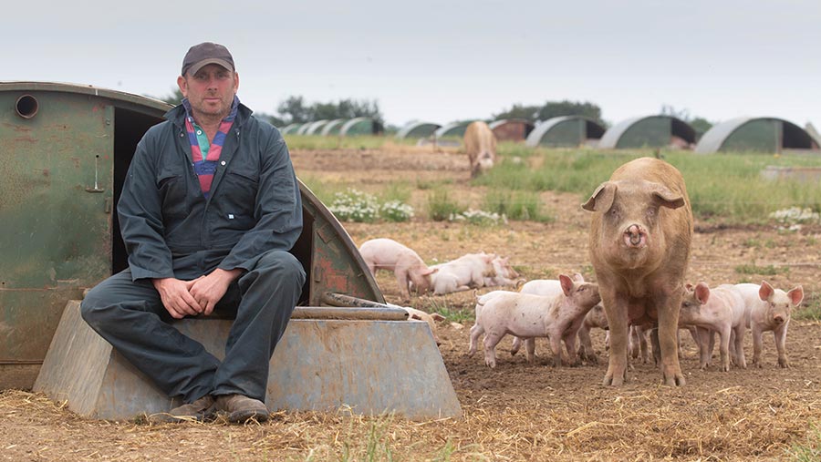 Richard Mellor with pigs