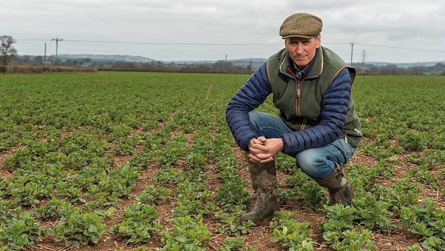 Richard Payne in one of his fields