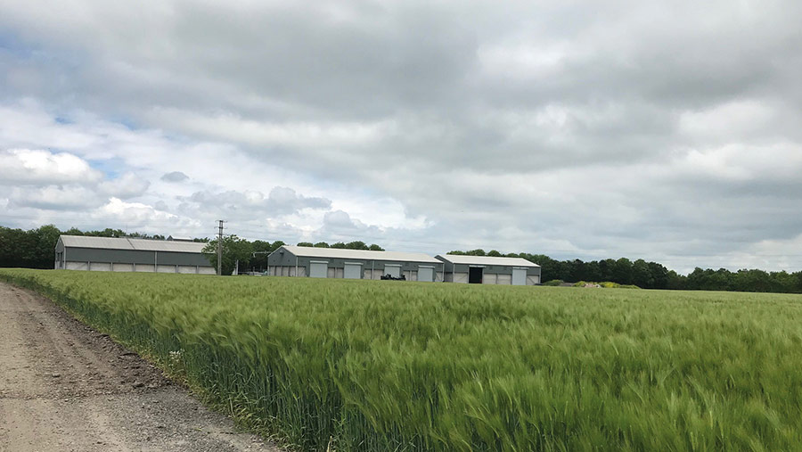 Storage buildings