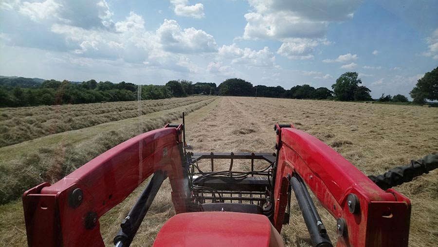 Tractor driver's view of hay field
