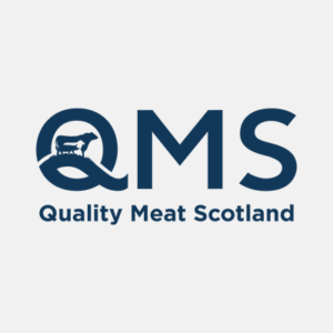 QMS标志
