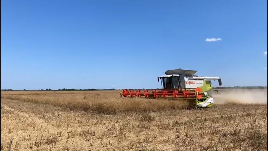 Will Wombwell harvesting OSR