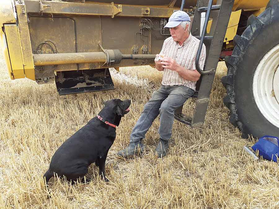 Farmer and his dog