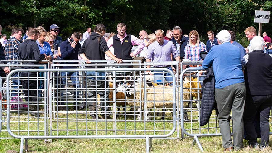 Kinross Show sees crowd of 3,000 and strong livestock entries - Farmers ...