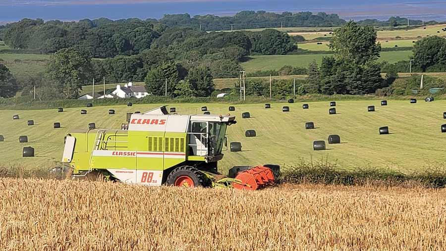 Combining Surge winter barley