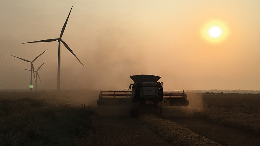 Winter barley cutting as the sun sets