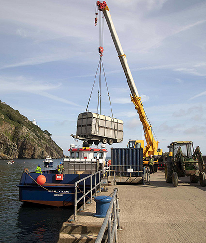 Cattle truck being lifted onto boat