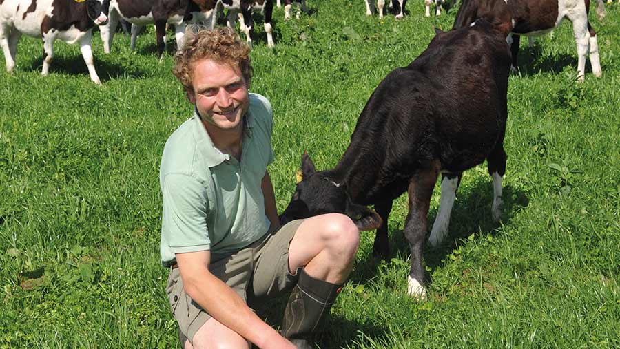 William Hannah with dairy calf