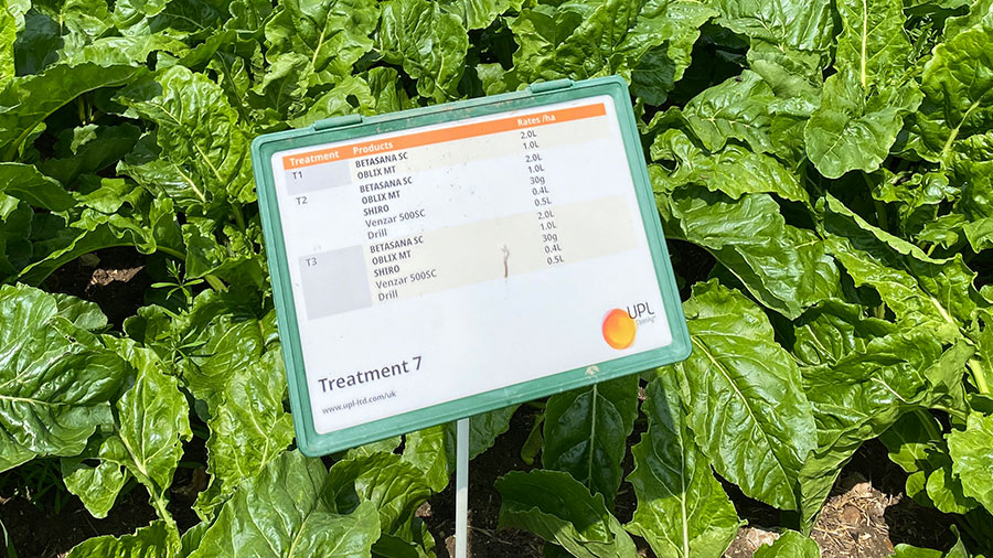 Sugar beet weed treatment sign at Diss