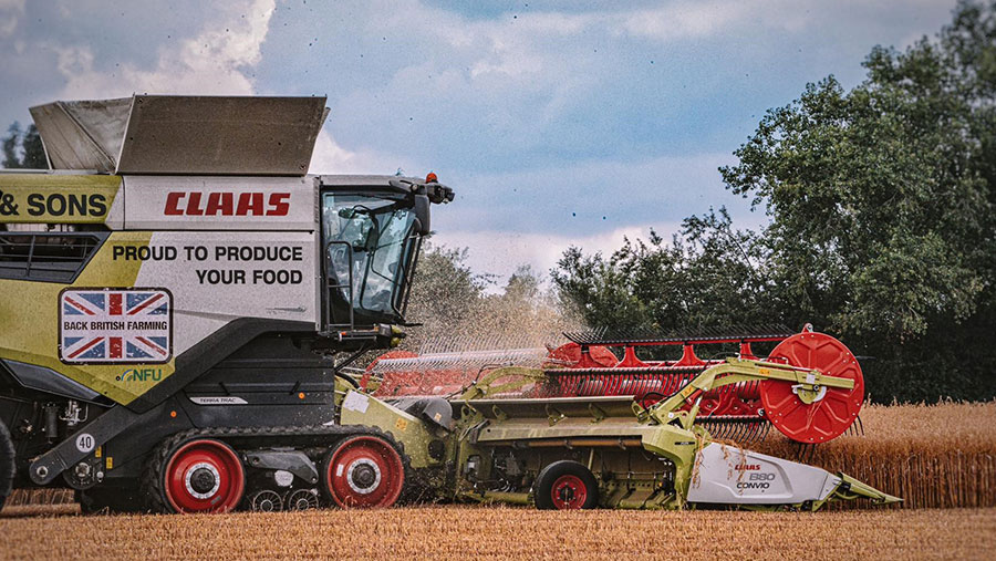 Wheat harvest